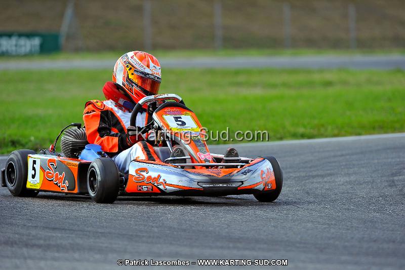 DSC_ (799).jpg